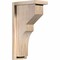Ekena Millwork Monterey Smooth Corbel w/Backplate, Douglas Fir, 5 1/2"W x 10"D x 18"H COR06X10X18MON01SDF - alternate 1